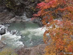 吾妻峡の紅葉＿群馬県