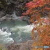 吾妻峡の紅葉＿群馬県