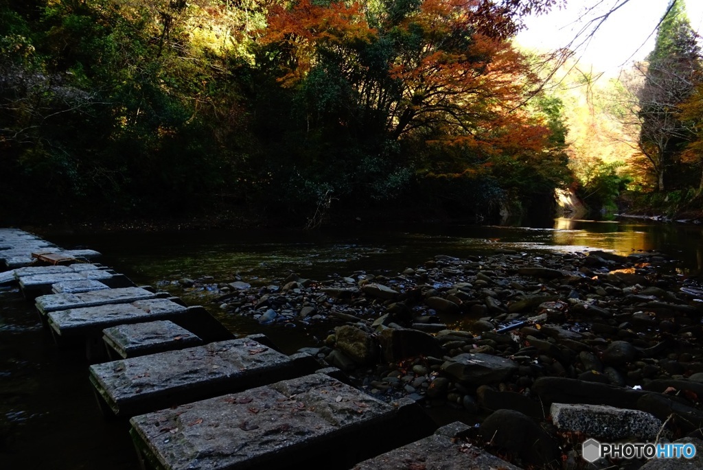 養老川