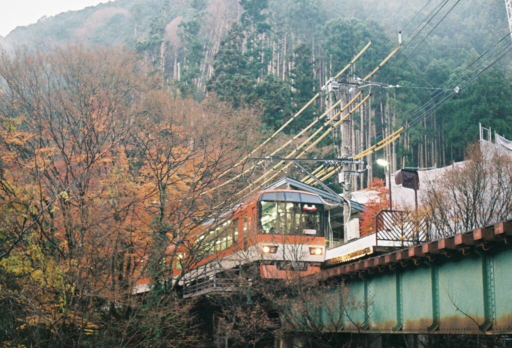 紅葉の電車