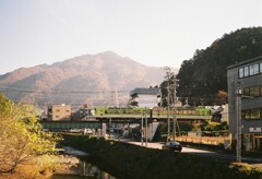 鮮やかな緑