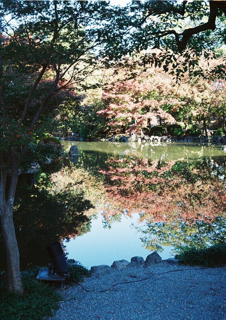 紅葉より紅し