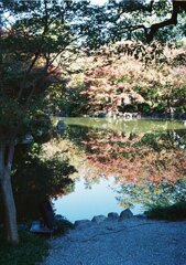 紅葉より紅し