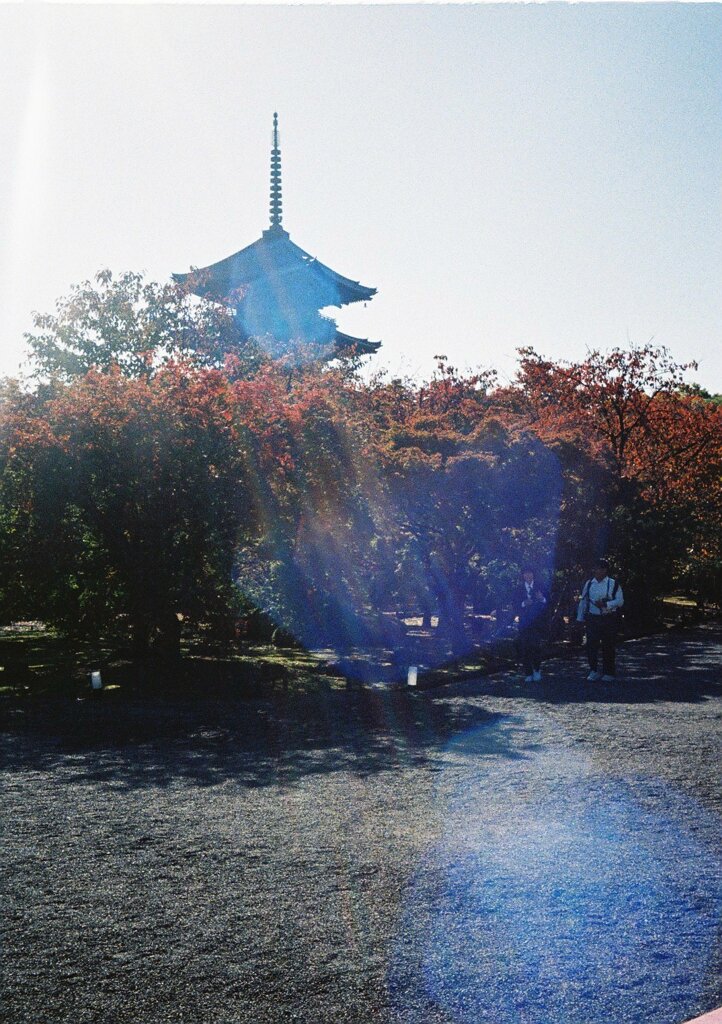 京都の秋