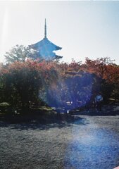 京都の秋