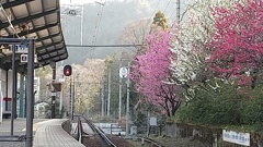 朝靄の駅