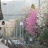 朝靄の駅