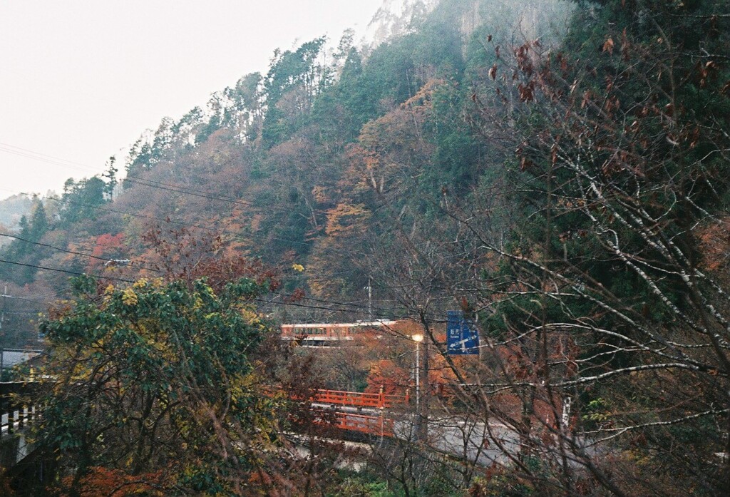 オレンジの風景