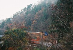 オレンジの風景