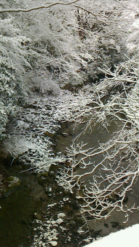 渓流の雪