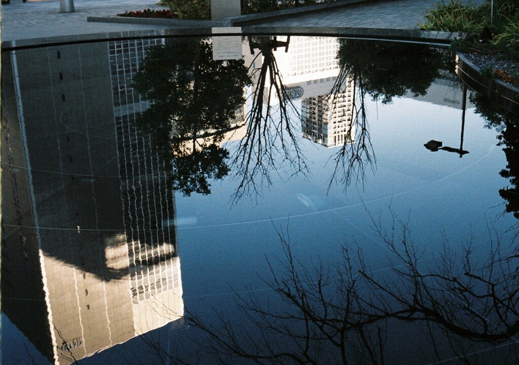 水の都・朝