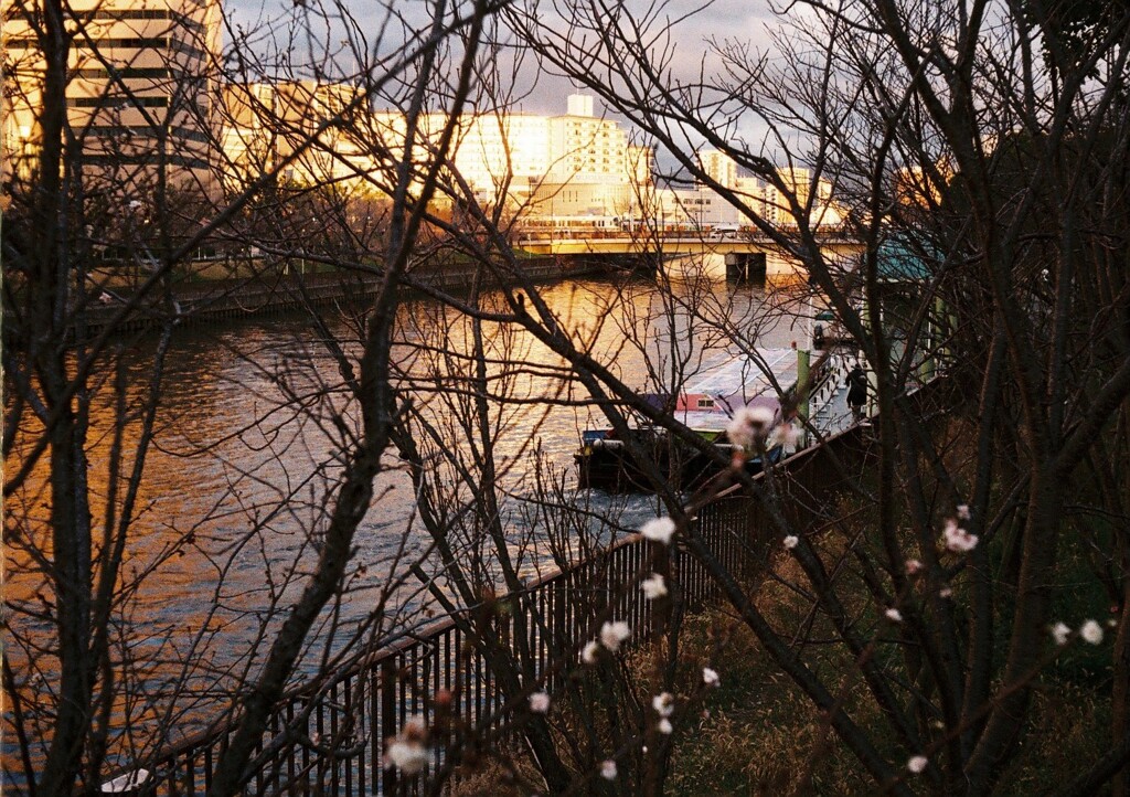 水の都・夕暮れ