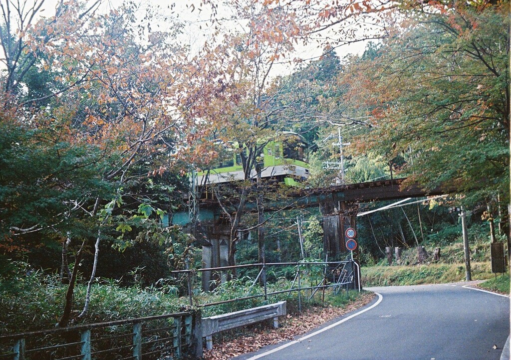 初秋を割く若草