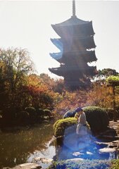 秋の日差し