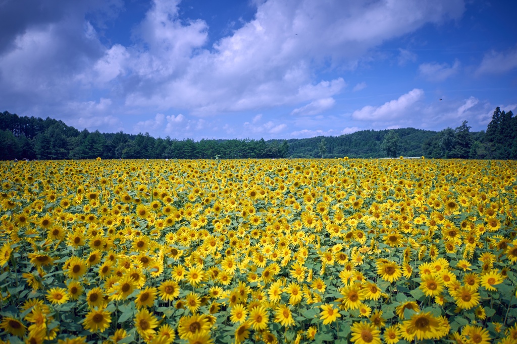 9754E11E-A390-4AD6-B89D-52F1C44ABD2F