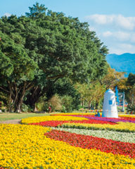 古亭河濱公園 台湾 台北