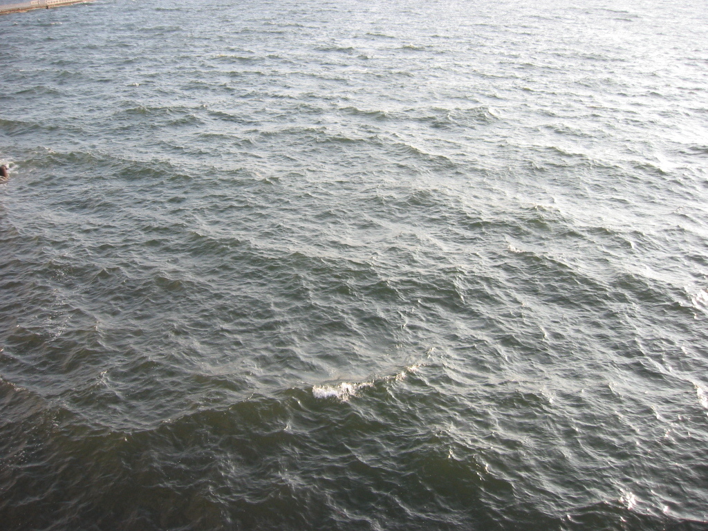 震災前のサイクリングロード