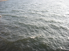 震災前のサイクリングロード