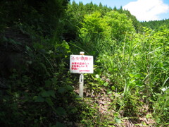 2004年クワガタ採集、北茨城、福島県