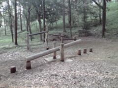 子供の頃に遊んでいた場所、春