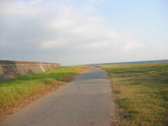震災前のサイクリングロード