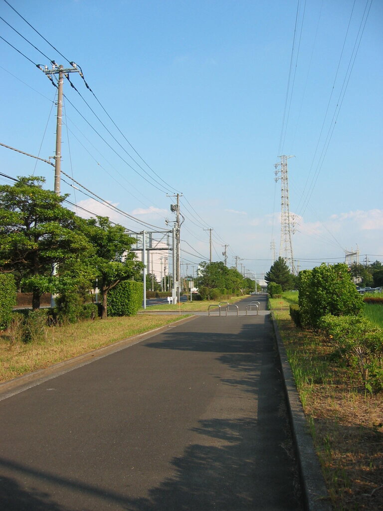 震災前のサイクリングロード