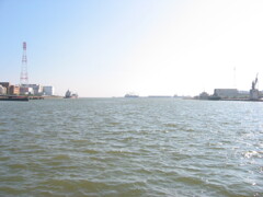 船橋港にて