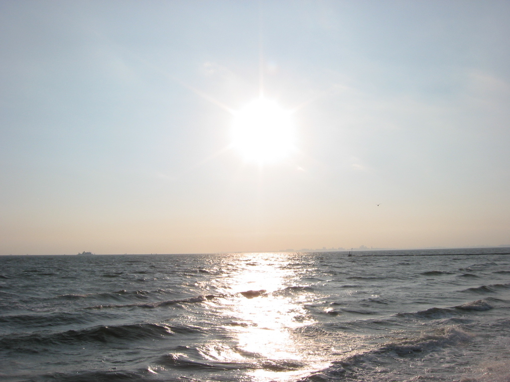 震災前のサイクリングロード