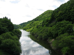 2004年クワガタ採集、北茨城、福島県