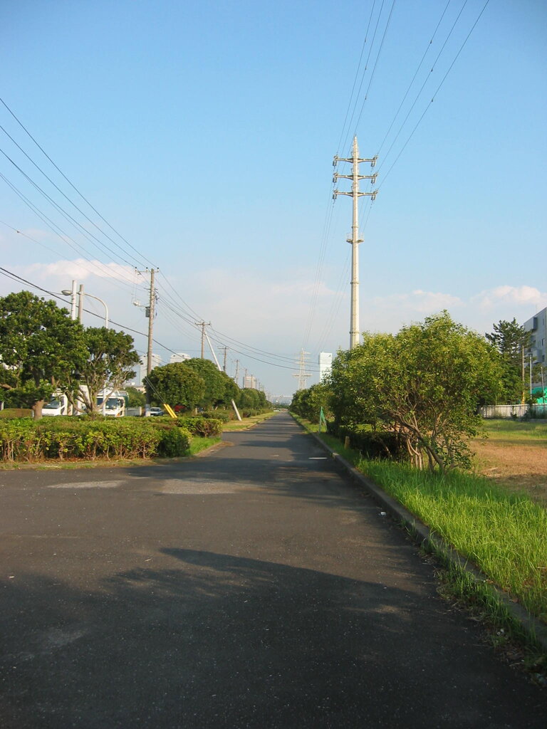 震災前のサイクリングロード