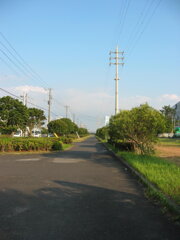 震災前のサイクリングロード