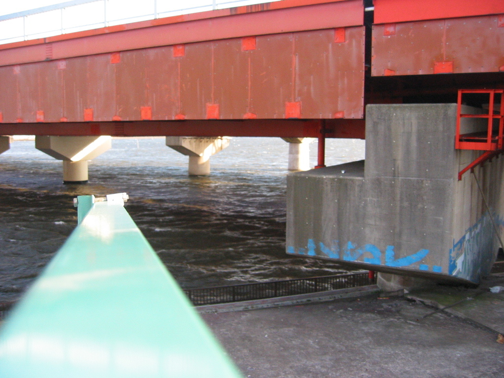 自転車で行った葛西臨海公園付近の橋