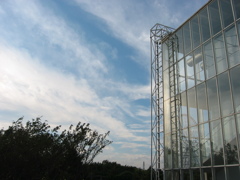 震災前、自転車で行った葛西臨海公園