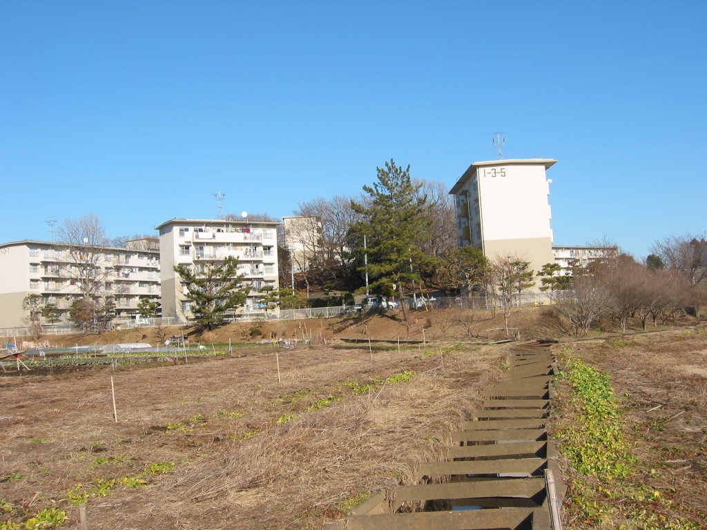 子供の頃に遊んだ場所