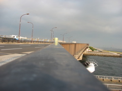 震災前のサイクリングロード