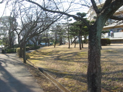 子供の頃よく遊んでいた場所