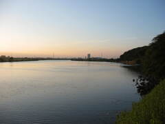 市川市の江戸川の土手から松戸へサイクリング中の撮影