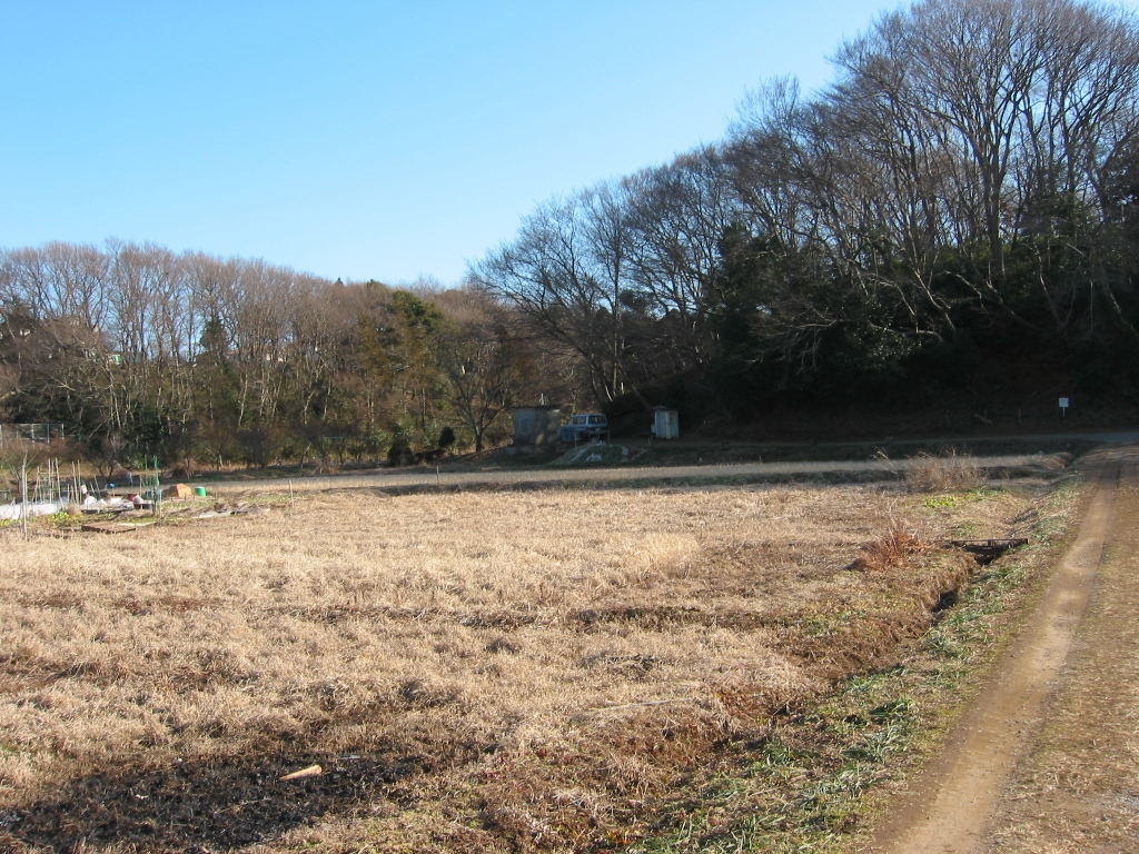 子供の頃に遊んだ場所