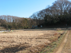 子供の頃に遊んだ場所