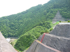 2004年クワガタ採集、北茨城、福島県