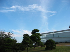 震災前、自転車で行った葛西臨海公園