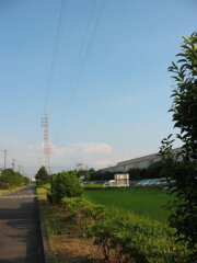 震災前のサイクリングロード