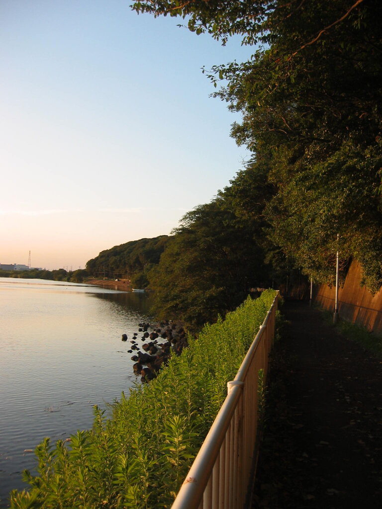 市川市の江戸川の土手から松戸へサイクリング中の撮影