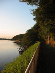 市川市の江戸川の土手から松戸へサイクリング中の撮影