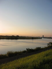 市川市の江戸川の土手から松戸へサイクリング中の撮影