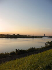 市川市の江戸川の土手から松戸へサイクリング中の撮影