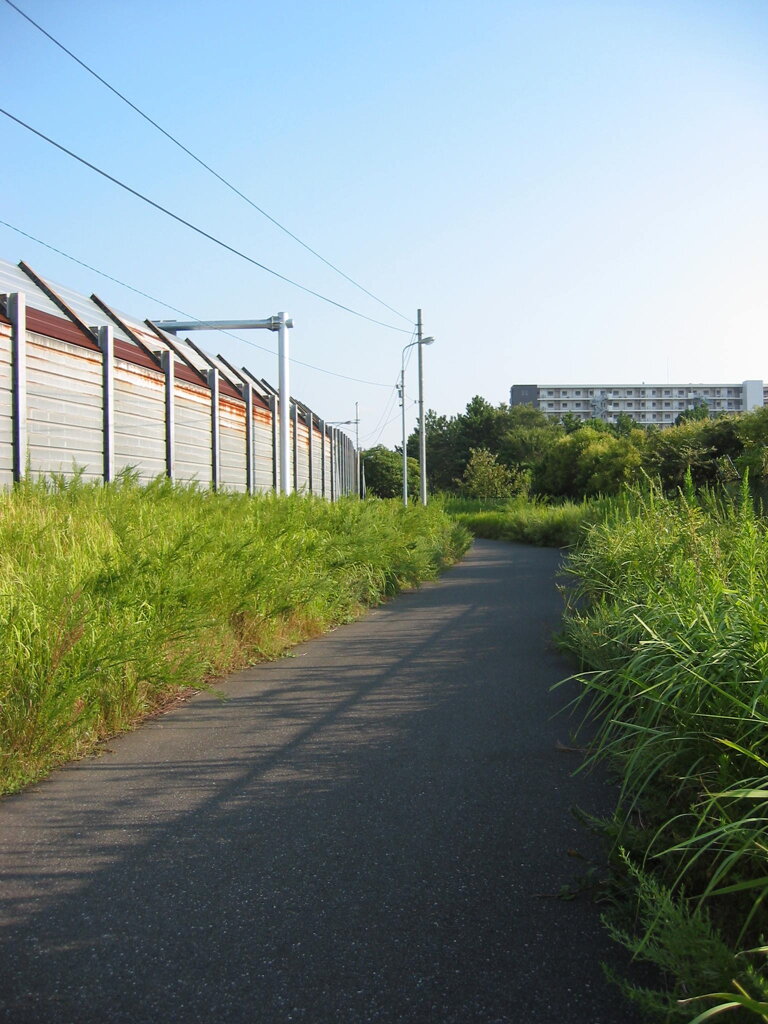 震災前のサイクリングロード