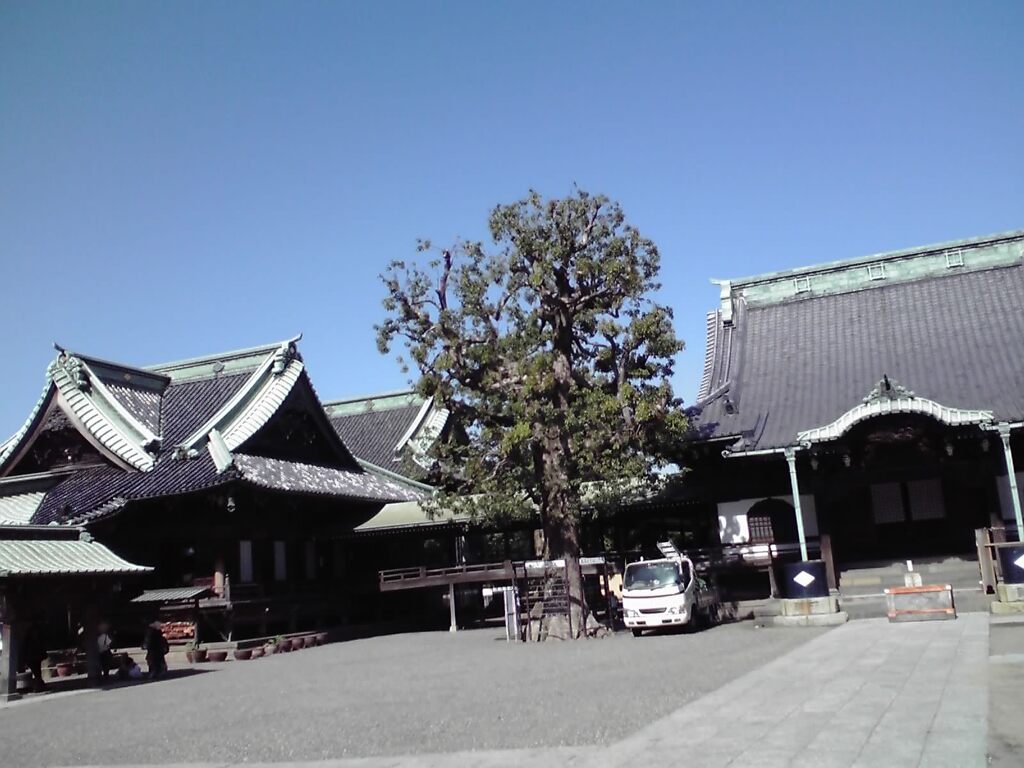 行くあてなくサイクリング