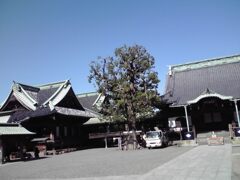 行くあてなくサイクリング