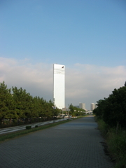 震災前のサイクリングロード